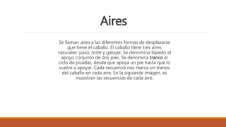 Aires
Se llaman aires a las diferentes formas de desplazarse
que tiene el caballo. El caballo tiene tres aires
naturales: paso, trote y galope. Se denomina bípedo al
apoyo conjunto de dos pies. Se denomina tranco al
ciclo de pisadas, desde que apoya un pie hasta que lo
vuelve a apoyar. Cada secuencia nos marca un tranco
del caballo en cada aire. En la siguiente imagen, se
muestran las secuencias de cada aire.
 