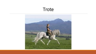Trote
 