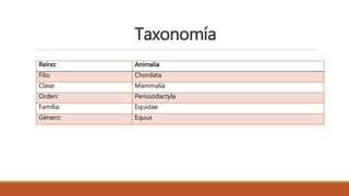 Taxonomía
Reino: Animalia
Filo: Chordata
Clase: Mammalia
Orden: Perissodactyla
Familia: Equidae
Género: Equus
 