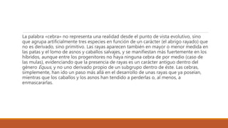 La palabra «cebra» no representa una realidad desde el punto de vista evolutivo, sino
que agrupa artificialmente tres especies en función de un carácter (el abrigo rayado) que
no es derivado, sino primitivo. Las rayas aparecen también en mayor o menor medida en
las patas y el lomo de asnos y caballos salvajes, y se manifiestan más fuertemente en los
híbridos, aunque entre los progenitores no haya ninguna cebra de por medio (caso de
las mulas), evidenciando que la presencia de rayas es un carácter antiguo dentro del
género Equus, y no uno derivado propio de un subgrupo dentro de éste. Las cebras,
simplemente, han ido un paso más allá en el desarrollo de unas rayas que ya poseían,
mientras que los caballos y los asnos han tendido a perderlas o, al menos, a
enmascararlas.
 