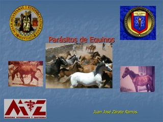 Parásitos de Equinos
Juan José Zárate Ramos.
 