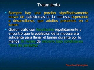 Tratamiento Siempre hay una porción significativamente mayor de  ciatostomas en la mucosa , esperando a desarrollarse, que adultos presentes en el lumen Gibson trató con  fenotiacina  repetidamente y encontró que la población de la mucosa era suficiente para llenar el lumen durante por lo menos  30 meses  de  encierro bajo condiciones "libre de parásitos".     Pequeños Estróngilos  