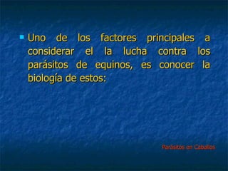 Parásitos en Caballos Uno de los factores principales a considerar el la lucha contra los parásitos de equinos, es conocer la biología de estos: 