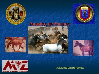 Parásitos de Equinos Juan José Zárate Ramos . 