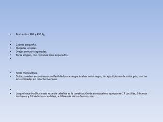 • Peso entre 380 y 430 Kg.
•
• Cabeza pequeña.
• Quijadas amplias.
• Orejas cortas y separadas.
• Tórax amplio, con costados bien arqueados.
•
• Patas musculosas.
• Color: pueden encontrarse con facilidad pura sangre árabes color negro, la capa típica es de color gris, con las
extremidades en color tordo claro.
•
• Lo que hace insólita a esta raza de caballos es la constitución de su esqueleto que posee 17 costillas, 5 huesos
lumbares y 16 vértebras caudales, a diferencia de las demás razas
 