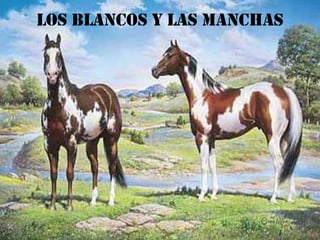 LOS BLANCOS Y LAS MANCHAS
 