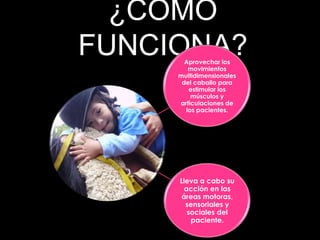 ¿CÓMO
FUNCIONA?
       Aprovechar los
        movimientos
     multidimensionales
      del caballo para
        estimular los
         músculos y
     articulaciones de
       los pacientes.




     Lleva a cabo su
       acción en las
      áreas motoras,
       sensoriales y
        sociales del
         paciente.
 