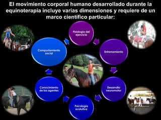 El movimiento corporal humano desarrollado durante la
equinoterapia incluye varias dimensiones y requiere de un
                marco científico particular:

                              Fisiología del
                                 ejercicio




            Comportamiento
                                               Entrenamiento
                social




             Conocimiento                        Desarrollo
             de los agentes                     neuromotor




                               Psicología
                               evolutiva
 
