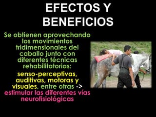 EFECTOS Y
            BENEFICIOS
Se obtienen aprovechando
       los movimientos
    tridimensionales del
      caballo junto con
     diferentes técnicas
        rehabilitatorias:
     senso-perceptivas,
    auditivas, motoras y
  visuales, entre otras ->
estimular las diferentes vías
       neurofisiológicas
 