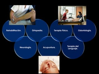 Rehabilitación.            Ortopedia.            Terapia Física.         Odontología.




                                                               Terapia del
             Neurología.                Acupuntura.
                                                                Lenguaje.
 