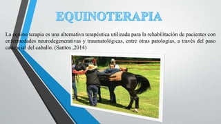 La equino terapia es una alternativa terapéutica utilizada para la rehabilitación de pacientes con
enfermedades neurodegenerativas y traumatológicas, entre otras patologías, a través del paso
cadencial del caballo. (Santos ,2014)
 