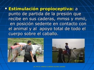    Estimulación propioceptiva: a
    punto de partida de la presión que
    recibe en sus caderas, mmss y mmii,
     en posición sedente en contacto con
    el animal y al apoyo total de todo el
    cuerpo sobre el caballo.




               LIC.TM.TO. HAROLD CLAESEN VILCHEZ LAVADO
 
