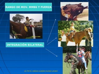 RANGO DE MOV. MMSS Y FUERZA




INTEGRACIÓN BILATERAL




           LIC.TM.TO. HAROLD CLAESEN VILCHEZ LAVADO
 