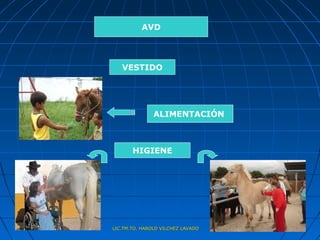 AVD




   VESTIDO




               ALIMENTACIÓN



       HIGIENE




LIC.TM.TO. HAROLD VILCHEZ LAVADO
 