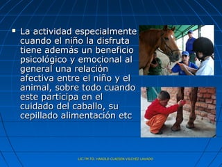    La actividad especialmente
    cuando el niño la disfruta
    tiene además un beneficio
    psicológico y emocional al
    general una relación
    afectiva entre el niño y el
    animal, sobre todo cuando
    este participa en el
    cuidado del caballo, su
    cepillado alimentación etc



                 LIC.TM.TO. HAROLD CLAESEN VILCHEZ LAVADO
 