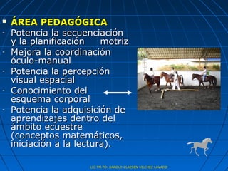    ÁREA PEDAGÓGICA
-   Potencia la secuenciación
    y la planificación    motriz
-   Mejora la coordinación
    óculo-manual
-   Potencia la percepción
    visual espacial
-   Conocimiento del
    esquema corporal
-   Potencia la adquisición de
    aprendizajes dentro del
    ámbito ecuestre
    (conceptos matemáticos,
    iniciación a la lectura).

                      LIC.TM.TO. HAROLD CLAESEN VILCHEZ LAVADO
 