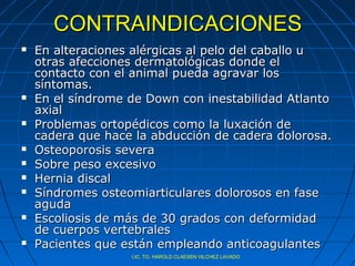 CONTRAINDICACIONES
   En alteraciones alérgicas al pelo del caballo u
    otras afecciones dermatológicas donde el
    contacto con el animal pueda agravar los
    síntomas.
   En el síndrome de Down con inestabilidad Atlanto
    axial
   Problemas ortopédicos como la luxación de
    cadera que hace la abducción de cadera dolorosa.
   Osteoporosis severa
   Sobre peso excesivo
   Hernia discal
   Síndromes osteomiarticulares dolorosos en fase
    aguda
   Escoliosis de más de 30 grados con deformidad
    de cuerpos vertebrales
   Pacientes que están empleando anticoagulantes
                   LIC. TO. HAROLD CLAESEN VILCHEZ LAVADO
 