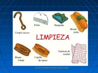 LIC.TM.TO. HAROLD CLAESEN VILCHEZ LAVADO
 