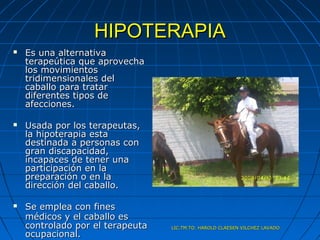 HIPOTERAPIA
   Es una alternativa
    terapeútica que aprovecha
    los movimientos
    tridimensionales del
    caballo para tratar
    diferentes tipos de
    afecciones.

   Usada por los terapeutas,
    la hipoterapia esta
    destinada a personas con
    gran discapacidad,
    incapaces de tener una
    participación en la
    preparación o en la
    dirección del caballo.

   Se emplea con fines
    médicos y el caballo es
    controlado por el terapeuta   LIC.TM.TO. HAROLD CLAESEN VILCHEZ LAVADO
    ocupacional.
 