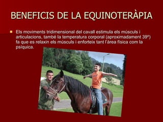 BENEFICIS DE LA EQUINOTERÀPIA Els moviments tridimensional del cavall estimula els músculs i articulacions, també la temperatura corporal (aproximadament 39º) fa que es relaxin els músculs i enforteix tant l ’ àrea física com la psíquica.  