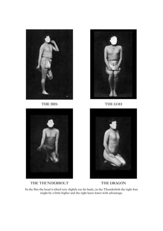 THE IBIS THE GOD
THE THUNDERBOLT THE DRAGON
In the Ibis the head is tilted very slightly too far back.; in the Thunderbolt the right foot
might be a little higher and the right knee lower with advantage.
 