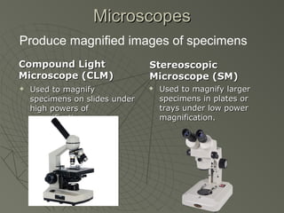 MicroscopesMicroscopes
Compound LightCompound Light
Microscope (CLM)Microscope (CLM)
 Used to magnifyUsed to magnify
specimens on slides underspecimens on slides under
high powers ofhigh powers of
magnification.magnification.
StereoscopicStereoscopic
Microscope (SM)Microscope (SM)
 Used to magnify largerUsed to magnify larger
specimens in plates orspecimens in plates or
trays under low powertrays under low power
magnification.magnification.
Produce magnified images of specimens
 
