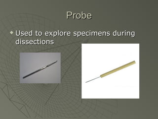 ProbeProbe
 Used to explore specimens duringUsed to explore specimens during
dissectionsdissections
 