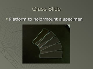 Glass SlideGlass Slide
 Platform to hold/mount a specimenPlatform to hold/mount a specimen
 