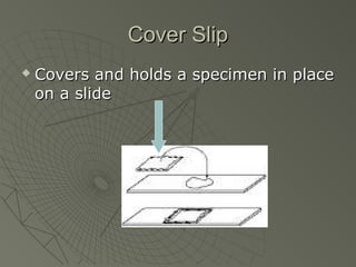 Cover SlipCover Slip
 Covers and holds a specimen in placeCovers and holds a specimen in place
on a slideon a slide
 