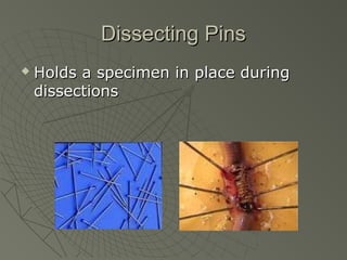 Dissecting PinsDissecting Pins
 Holds a specimen in place duringHolds a specimen in place during
dissectionsdissections
 