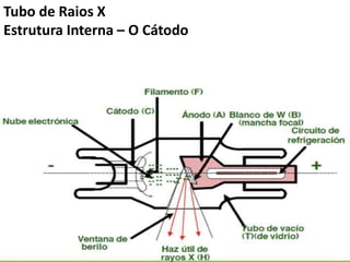 Tubo de Raios X
Estrutura Interna – O Cátodo
 