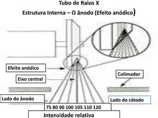Colimador
Lado do cátodo
75 80 90 100 105 110 120
Intensidade relativa
Lado do ânodo
Efeito anódico
Eixo central
Tubo de Raios X
Estrutura Interna – O ânodo (Efeito anódico)
 