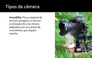  Armadilha: Para o registro de 
animais selvagens, é comum 
a utilização de uma câmera 
adaptada com um sensor de 
movimento, que dispara 
sozinha. 
 
