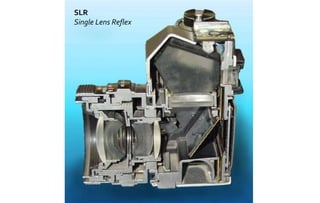 SLR 
Single Lens Reflex 
 