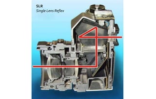 SLR 
Single Lens Reflex 
 