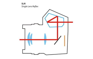 SLR 
Single Lens Reflex 
 