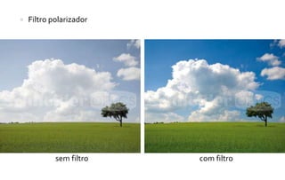  Filtro polarizador 
sem filtro com filtro 
 