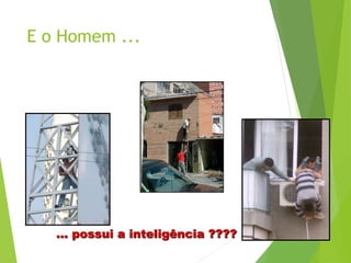 E o Homem ...
... possui a inteligência ????
 