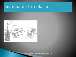 Sistema de Circulação de Fluidos
 
