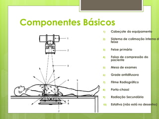 Componentes Básicos
                1)    Cabeçote do equipamento

                2)    Sistema de colimação interna do
                      feixe

                3)    Feixe primário

                4)    Faixa de compressão do
                      paciente

                5)    Mesa de exames

                6)    Grade antidifusora

                7)    Filme Radiográfico

                8)    Porta-chassi

                9)    Radiação Secundária

                10)   Estativa (não está no desenho)
 