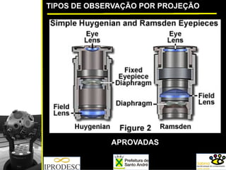 TIPOS DE OBSERVAÇÃO POR PROJEÇÃO
APROVADAS
 