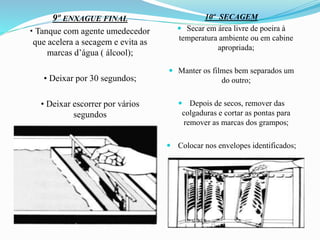 9º ENXAGUE FINAL
• Tanque com agente umedecedor
que acelera a secagem e evita as
marcas d’água ( álcool);
• Deixar por 30 segundos;
• Deixar escorrer por vários
segundos
10º SECAGEM
 Secar em área livre de poeira à
temperatura ambiente ou em cabine
apropriada;
 Manter os filmes bem separados um
do outro;
 Depois de secos, remover das
colgaduras e cortar as pontas para
remover as marcas dos grampos;
 Colocar nos envelopes identificados;
 