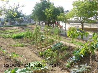espais naturals: l’hort

 