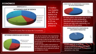 ECONÓMICO
El Gráfico
nos muestra
que 36% se
dedica a la
agricultura
mientras que
el 2% se
dedica a la
artesanía
Fuente:Encuesta (Plan de desarrollo Concentrado)
Uno de los factores más importantes
es en el comercio con un 20%,en el
cual gracias a esto se da mayor índice
porcentual tanto en la agricultura como
la ganadería.
Como en este gráfico demuestra no
hay un índice económico de apoyo en
la artesanía y en lo cultural,el cual es
un problema a tratar.
En este gráfico demuestra que el 57%
piensa que se está perdiendo la
identidad cultural,mientras el 38%
piensa que solo está mejorando y no
perdiendo el 5% no opina
El 95% está de acuerdo en
comprometerse en diferentes áreas
productivas mientras el 7% no quiere
apoyarse a esa idea
 