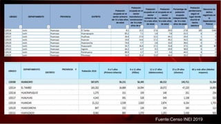 Fuente:Censo INEI 2019
 