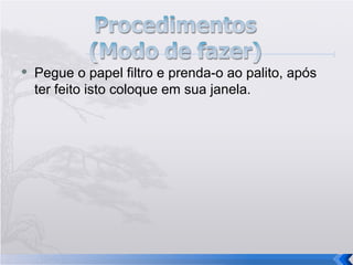 Pegue o papel filtro e prenda-o ao palito, após ter feito isto coloque em sua janela. 