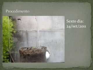 Sexto dia:
24/set/2011
 