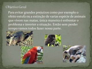 Para evitar grandes prejuízos como por exemplo o
efeito estufa ou a extinção de varias espécie de animais
que vivem nas matas, única maneira é enfrentar o
problema e inverter a situação. Então sem perder
tempo vamos todos fazer nossa parte.
 