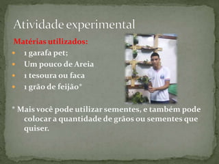 Matérias utilizados:
 1 garafa pet;
 Um pouco de Areia
 1 tesoura ou faca
 1 grão de feijão*
* Mais você pode utilizar sementes, e também pode
colocar a quantidade de grãos ou sementes que
quiser.
 