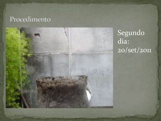 Segundo
dia:
20/set/2011
 